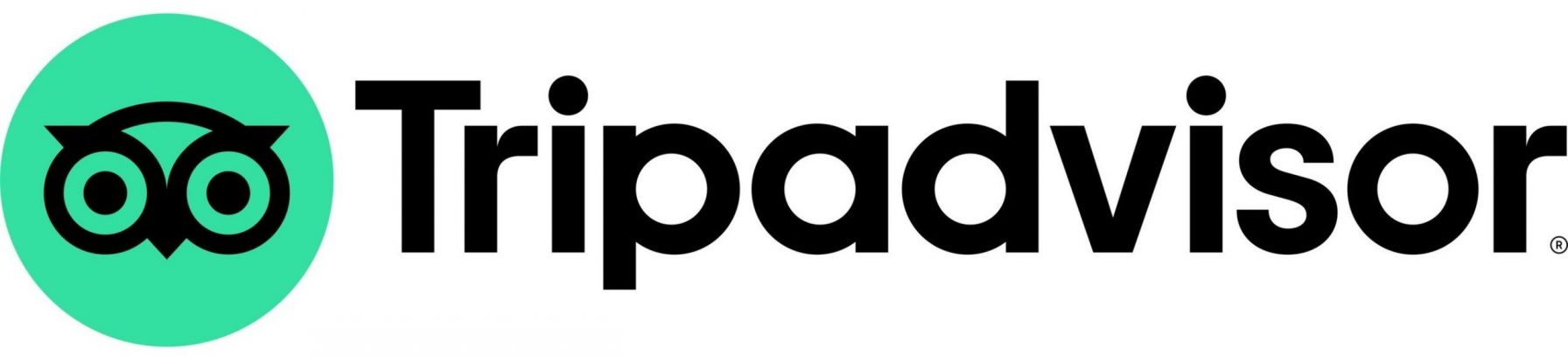 Tripadvisor Logo